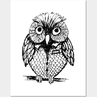 B&W Owl Posters and Art